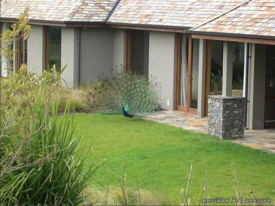 Treetops Lodge & Estate Rotorua Exterior foto